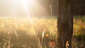 电话轰在线轰炸免费下载