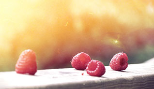 纯净版无广告的手机号呼叫软件